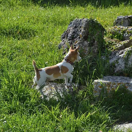 Porta Del Tempo Stroncone