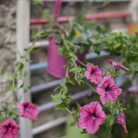 Hotel Porta Del Tempo 3*