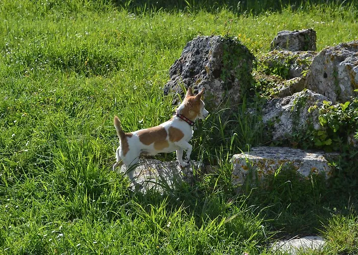 Porta Del Tempo Stroncone